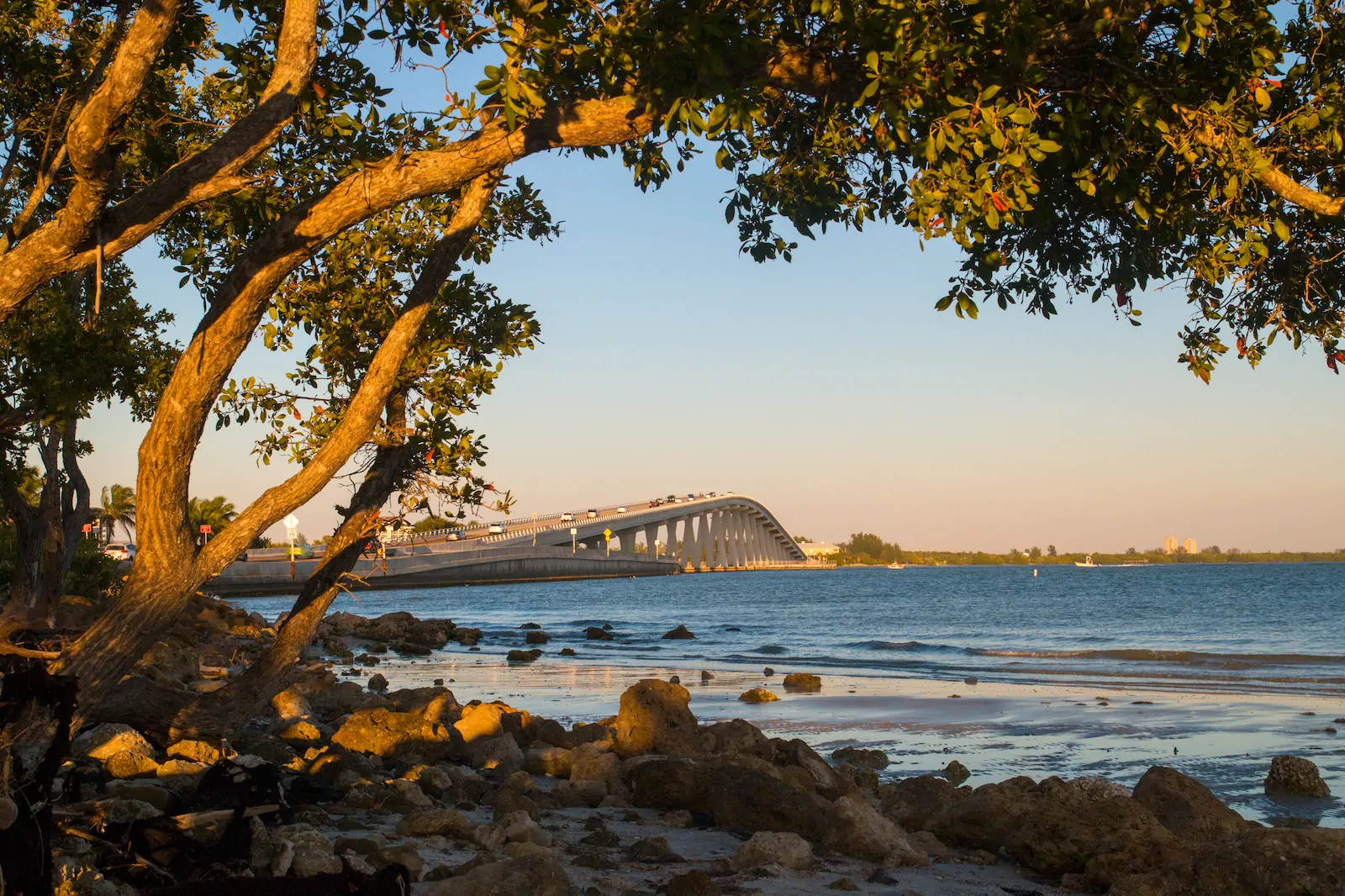 The Sanibel Causeway arcing over the bay at golden hour, framed by mangroves along a quiet, rocky Lee County shoreline.